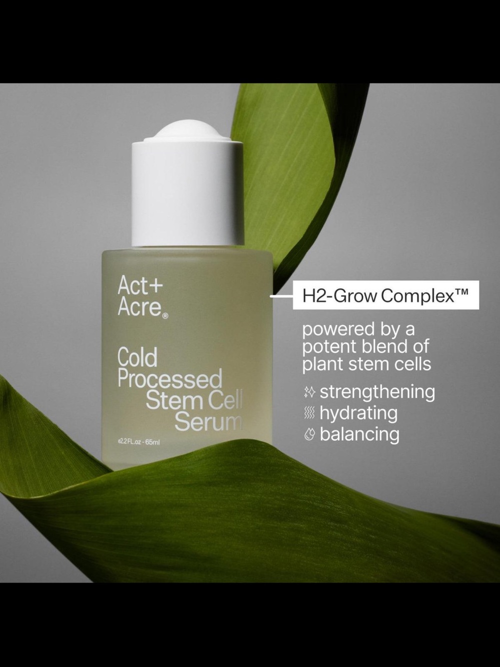 Cold Processed Stem Cell Serum — Green